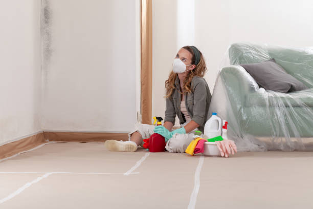 Reliable Mold Inspection contractor in Beverly, NJ by WQB Mold Removal
